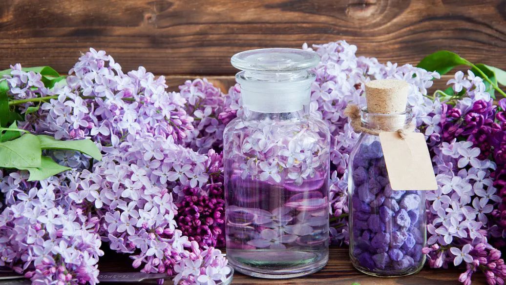 饱和露和纯露的区别,饱和玫瑰精油纯露