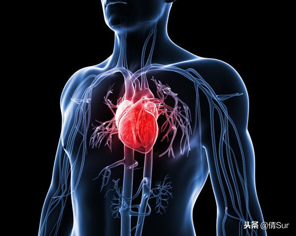 马拉松心梗猝死,马拉松心脏猝死的抢救