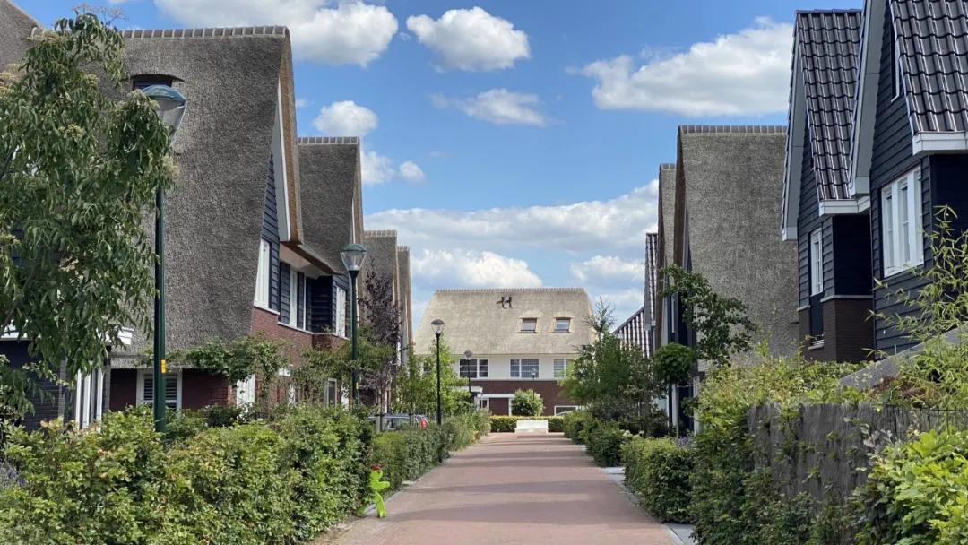 荷兰对中国设备依赖,荷兰经济依赖我国吗