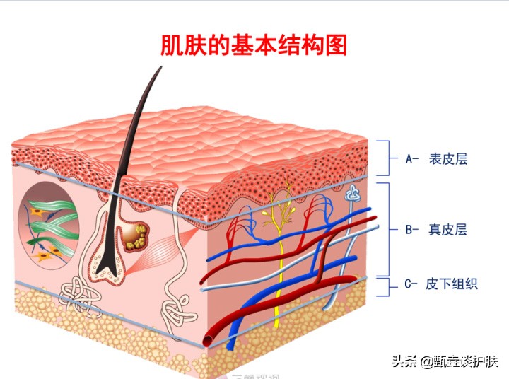 男皮肤粗糙毛孔粗大改善方法,小孩身体皮肤粗糙怎么改善