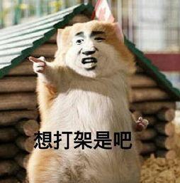 女神节到了别忘了你的女神,女神节刚过又到女神节
