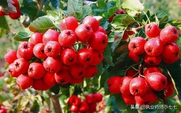 从中医角度看什么食物是发物,中医讲的忌口辛辣发物是什么