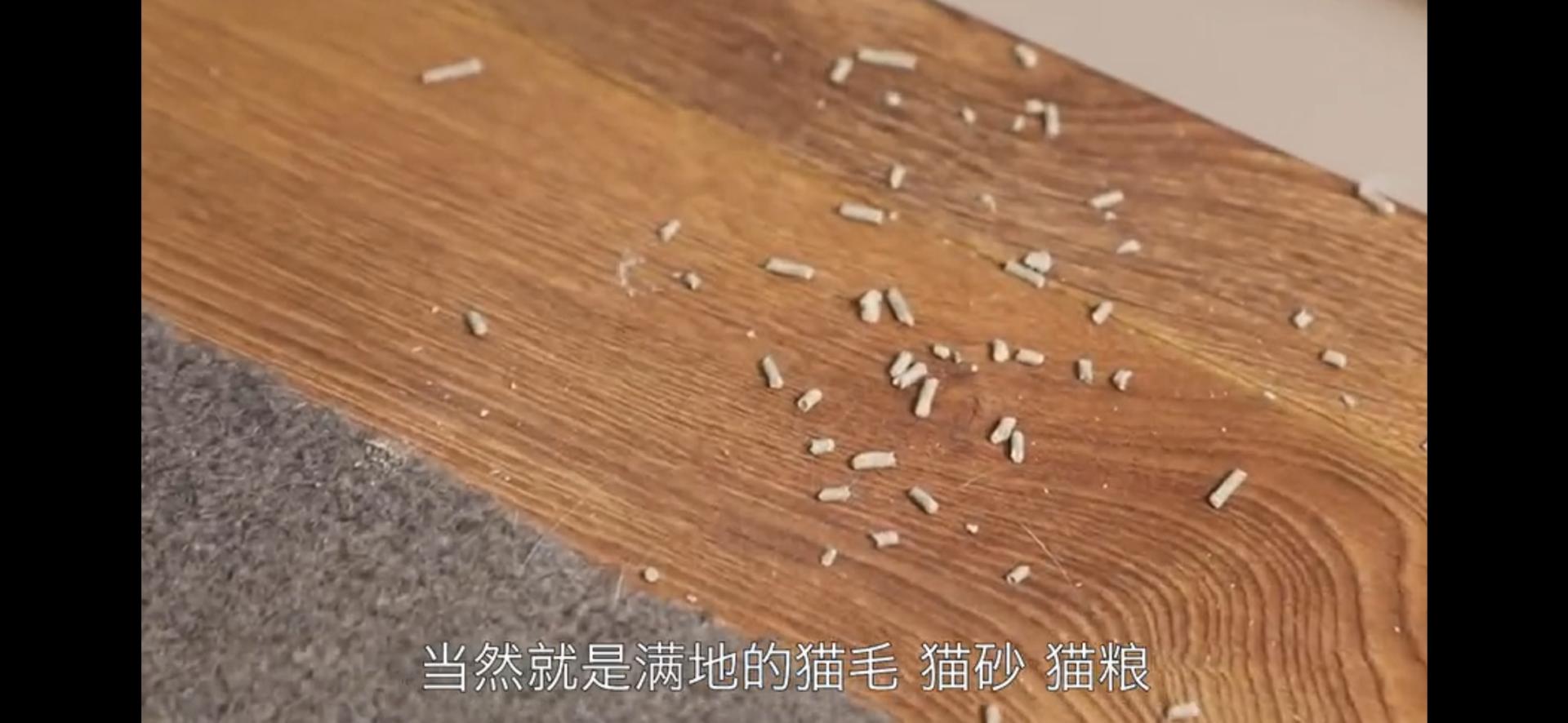戴森吸拖一体吸尘器真实测评,吸尘器真的有效吗