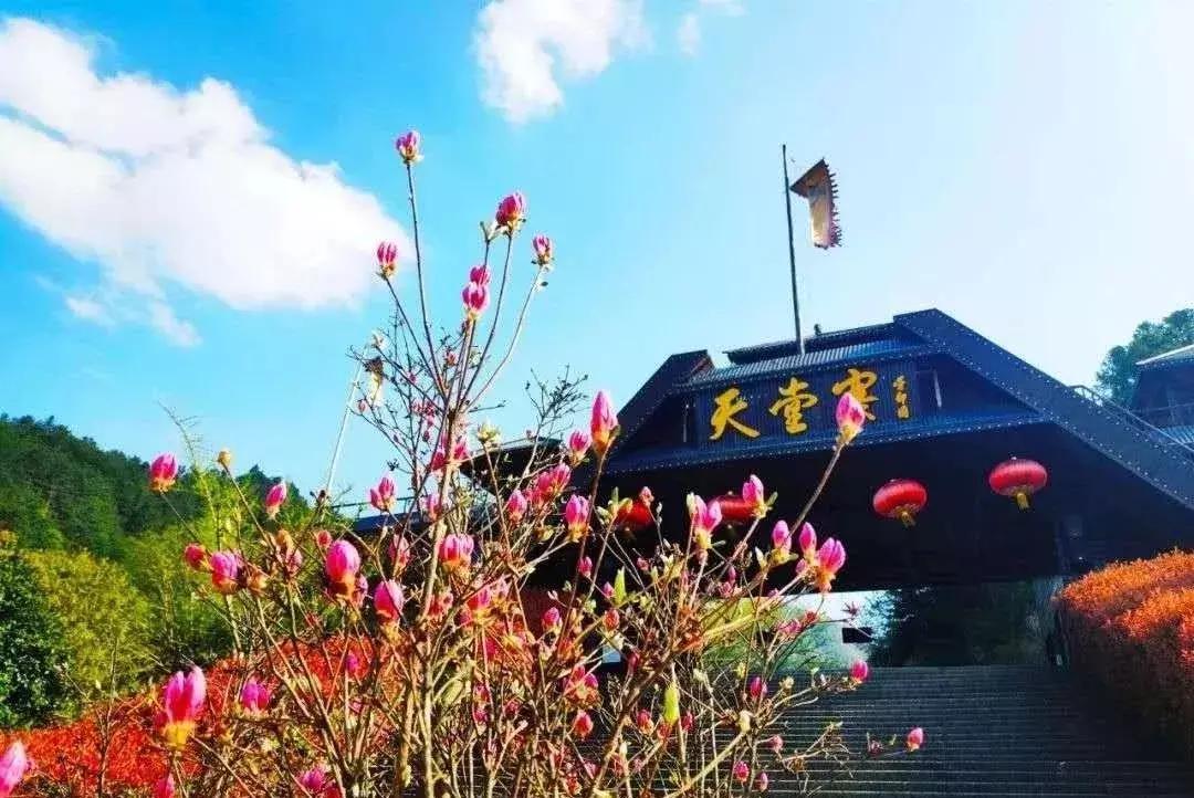 5a景区住宿旅馆,5a景区住宿多少钱