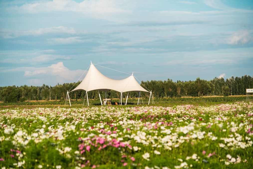 她是滔滔千里黄河的宠儿，阴山之下、河套之上的掌上明珠