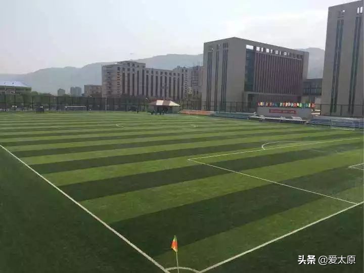 太原龙城柳巷最新消息,太原柳巷2024年还会开吗