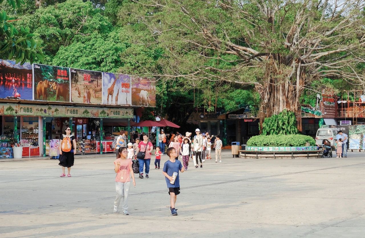 深圳地铁7号线有什么好玩的,深圳地铁十四号线游玩攻略