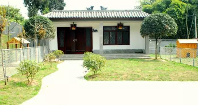 幼崽柯基为什么喜欢舔爪子,柯基幼犬喜欢各种咬怎么办