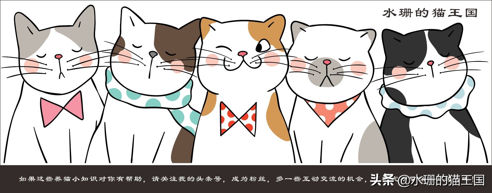 猫咪尾巴被绳子缠住以后尾巴下垂,千万别拽猫尾巴