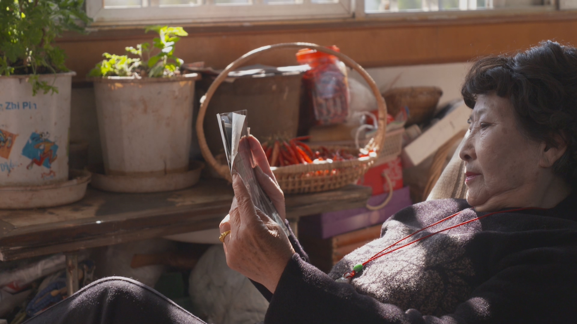 昆明五华书香门第,昆明书香门第