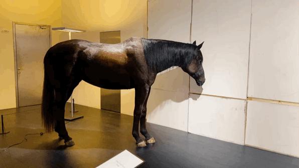 别争了，这条马路才是魔都内卷之王