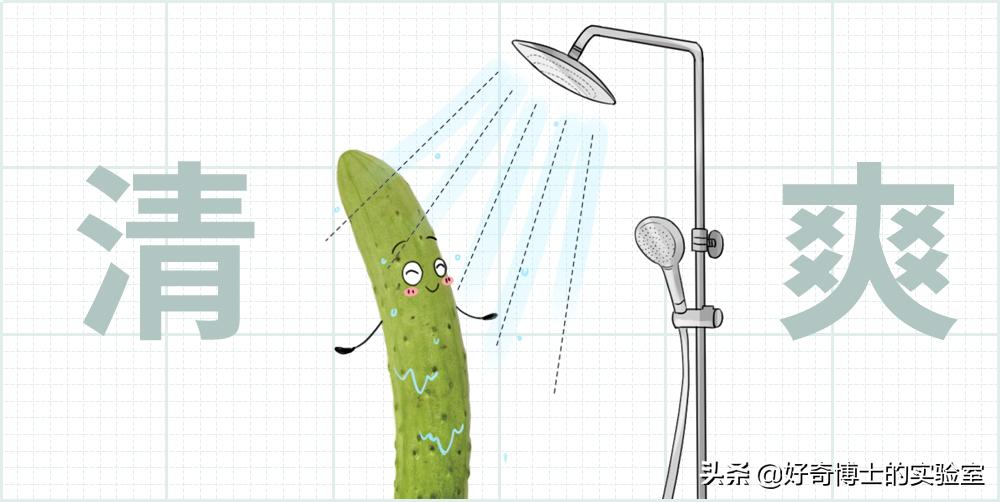 你对避孕套根本一无所知