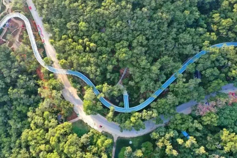 厦门最新公园,厦门新消息今天