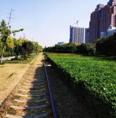 郑州周末骑行的好地方,春天郑州适合骑行的路线