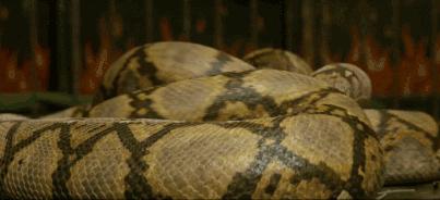 在哈利波特魔法觉醒里施法,哈利波特复联