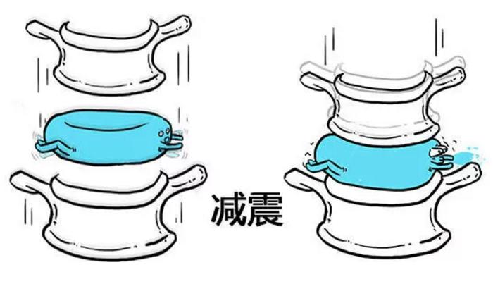 此文章让你彻底明白什么是：腰间盘突出