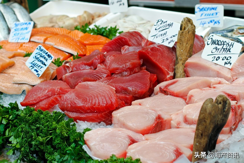 三文鱼价格走势图挪威,挪威20斤整条三文鱼批发价格