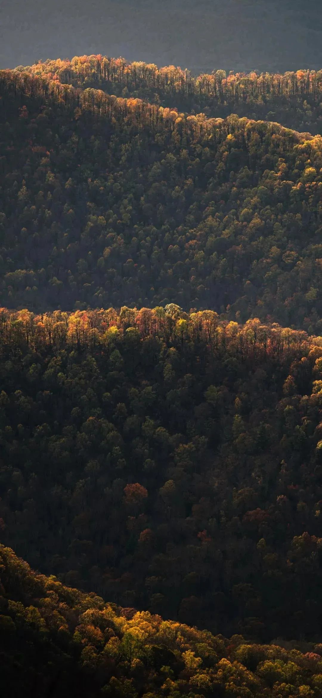 壁纸不要寄希望于别人多看自己,壁纸接受事与愿违