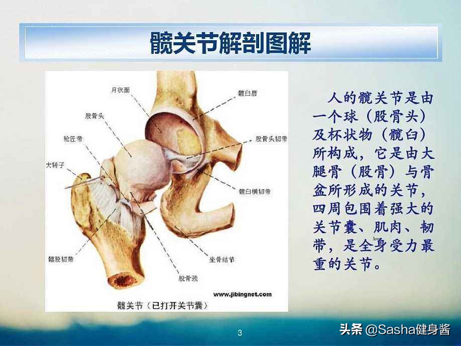 瑜伽经络疏通开肩开髋,开髋瑜伽对人体有什么好处