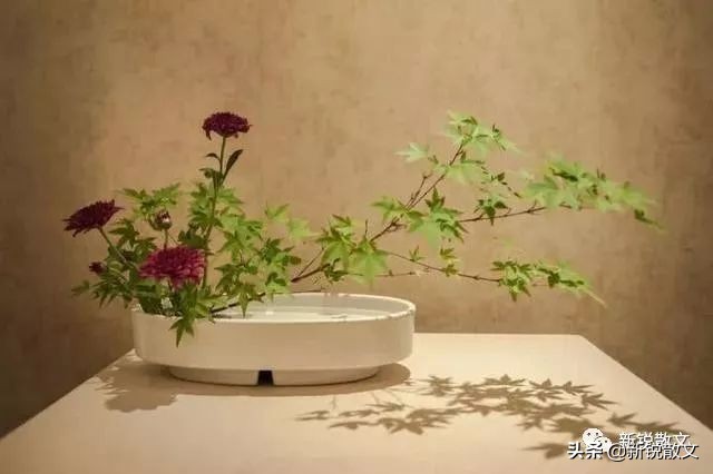 文学雅与俗的相对性,当代文学中雅与俗