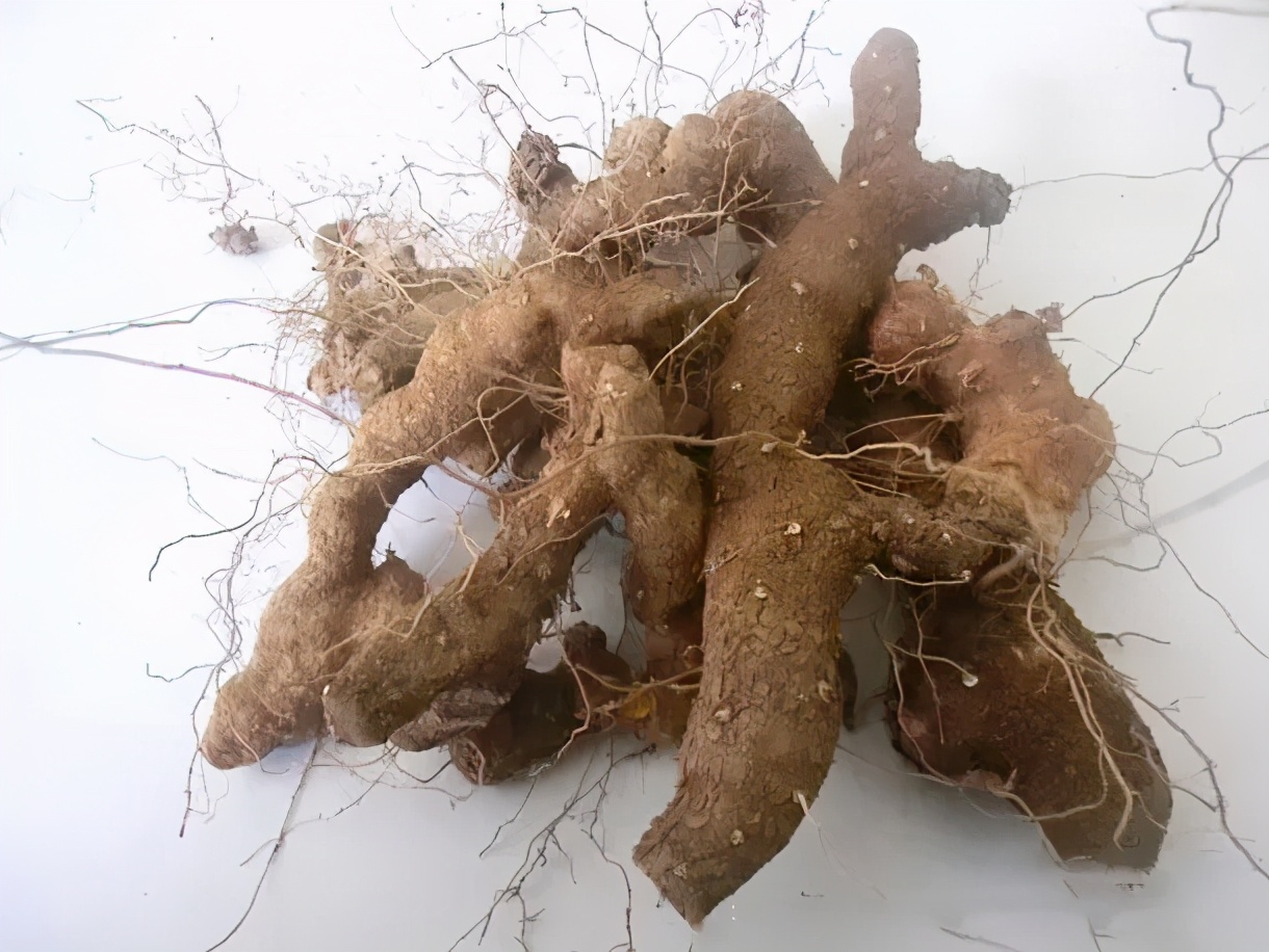 47岁大叔电商创业纪实,一个农村电商创业的故事