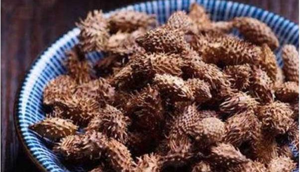 养鸡最好的土偏方是什么,养鸡用什么方法防黄鼠狼