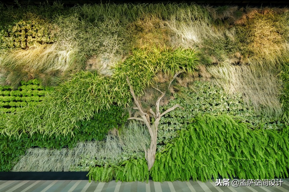 科威特四季酒店DaiForni餐厅，在科威特上空体验意大利南部美食