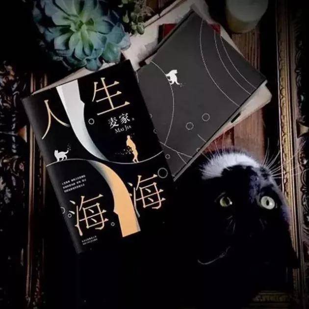 人生海海上校是太监吗,人生海海上校真的是太监吗