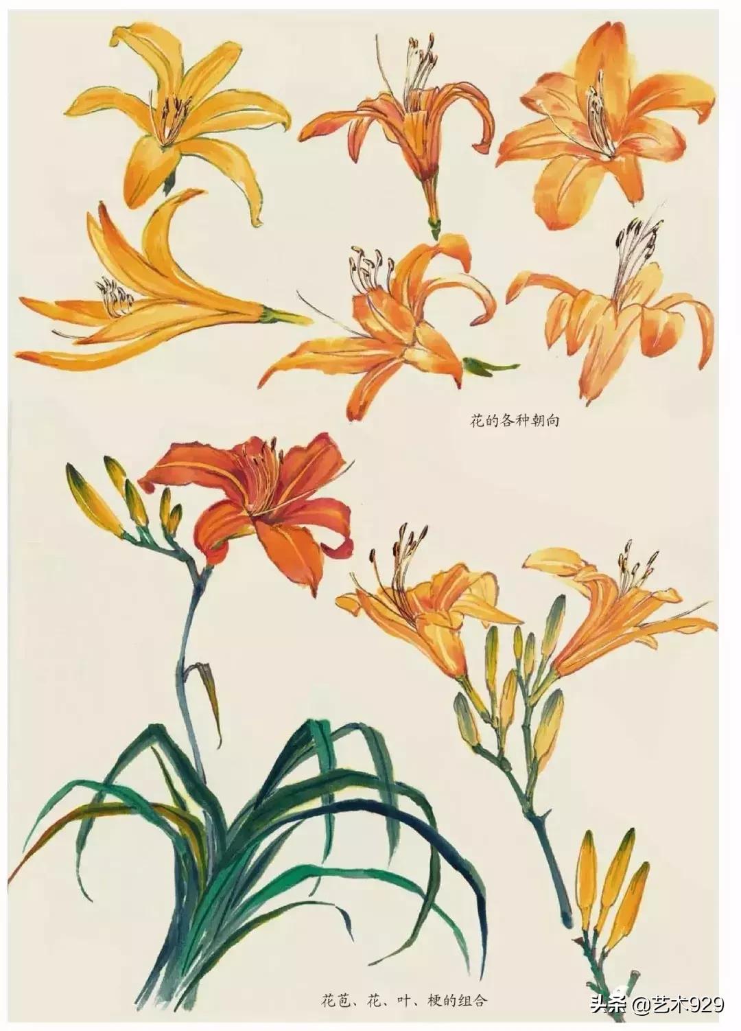 国画技法工笔花卉配色与花叶染法,国画欣赏精致的工笔彩色花卉