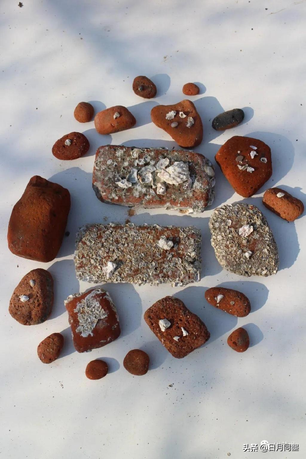 往事丨1992年，他们在武汉策划了一次消毒艺术运动