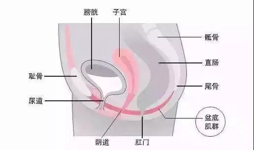 肛门疼痛的引发因素有哪些？
