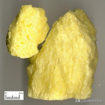 中药中杀虫止痒药速记口诀,杀虫止痒中医医案