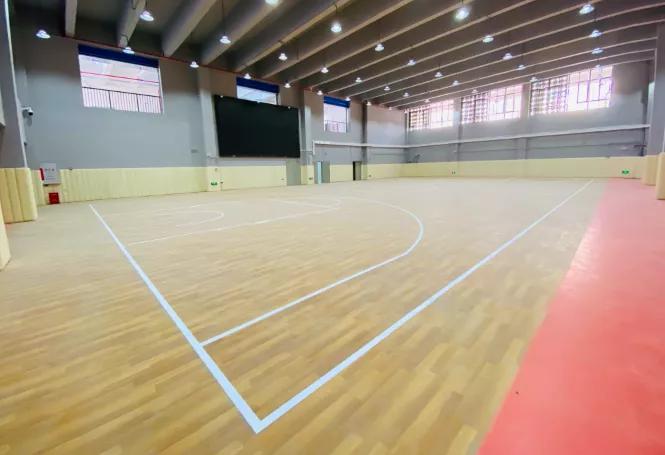 平洲中心小学宣传片,平洲中心小学省一级