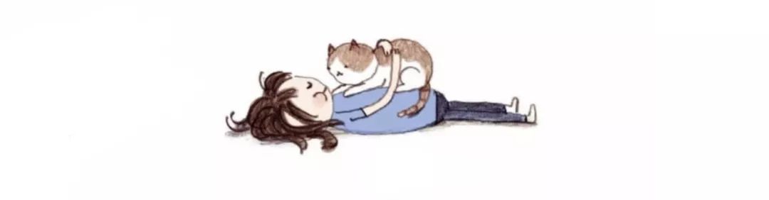 养猫咪新手入门必知疫苗怎么打,新手养猫疫苗怎么打