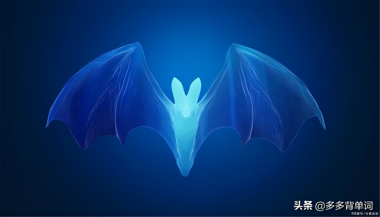 2020年灭绝的动物,发现已宣布灭绝的物种