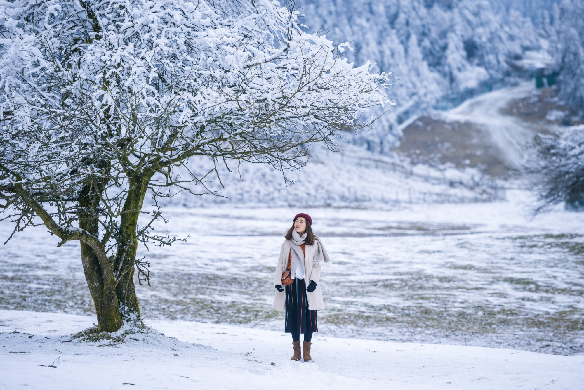 热腾腾麻辣火锅,8d魔幻山城重庆美食街