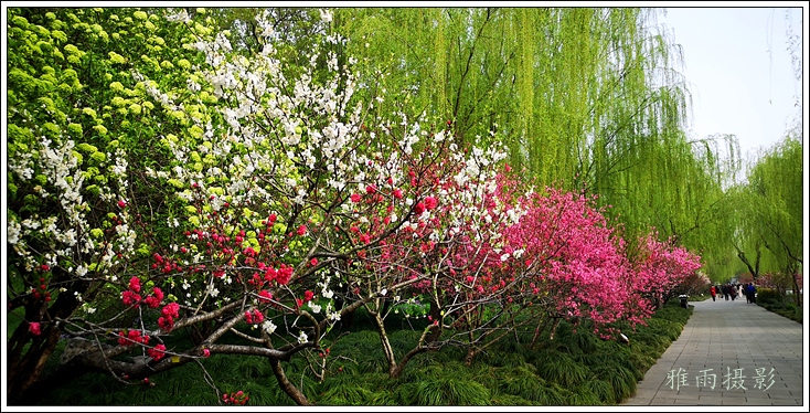 扬州夏日的瘦西湖风景,三月的扬州瘦西湖