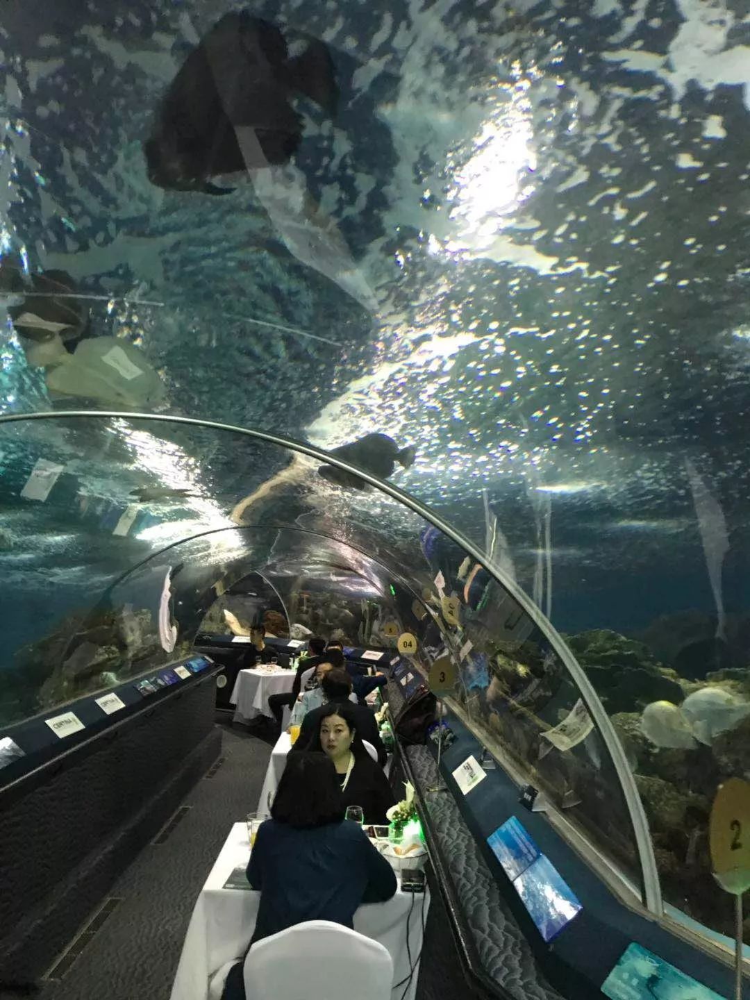 性价比高的石英潜水表,500米防水潜水表推荐