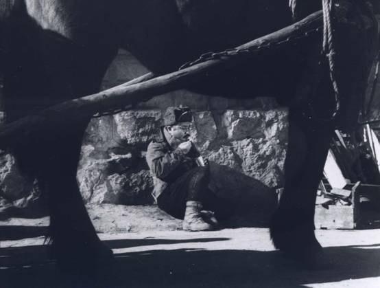 一开始，他们都显得没什么天赋——韩国电影与韩国足球