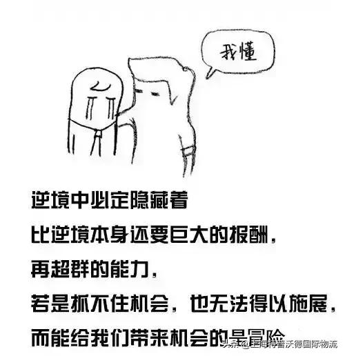 教师节|一入货代深似海！还记得是谁带你进货代门？