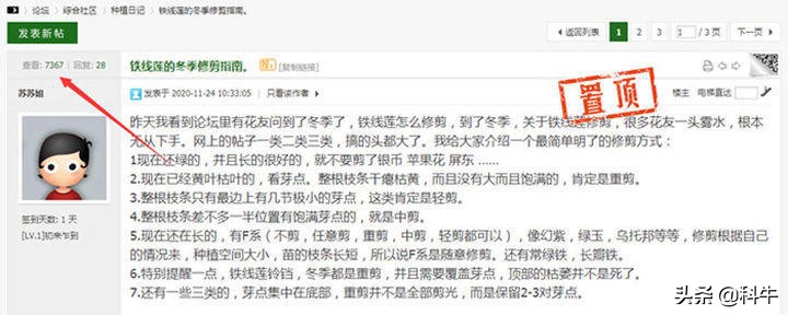 天涯论坛最新引流方法,在哪里发帖子引流效果最好