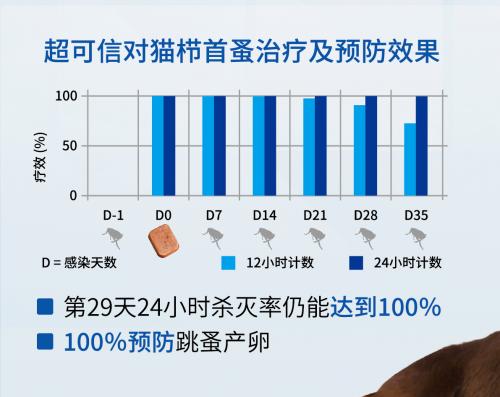 狗狗身上长螨虫该用什么方法解决,狗身上螨虫很严重怎么治