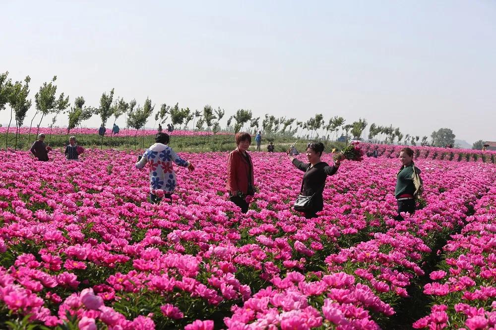 安徽滁州风景美如画,滁州市美景