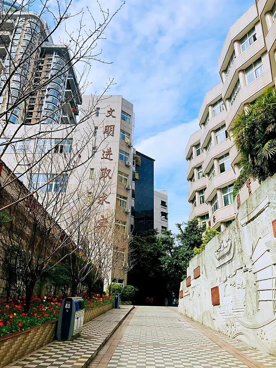 重庆四小金刚中学好不好,重庆四小金刚哪个高考成绩最好