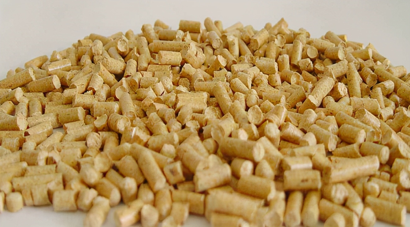 猫砂最好是什么猫砂,猫砂都有什么种类