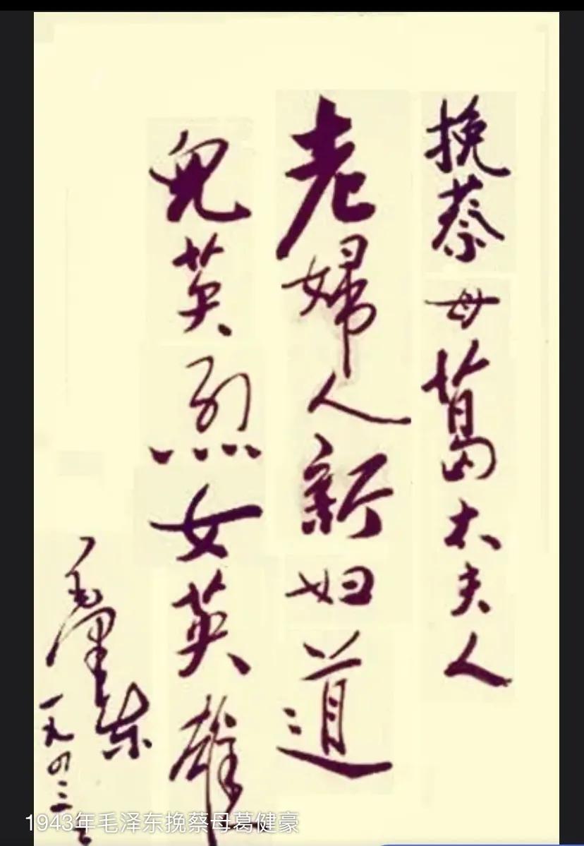 “革命的母亲”死后，毛*东泽**为她写挽联