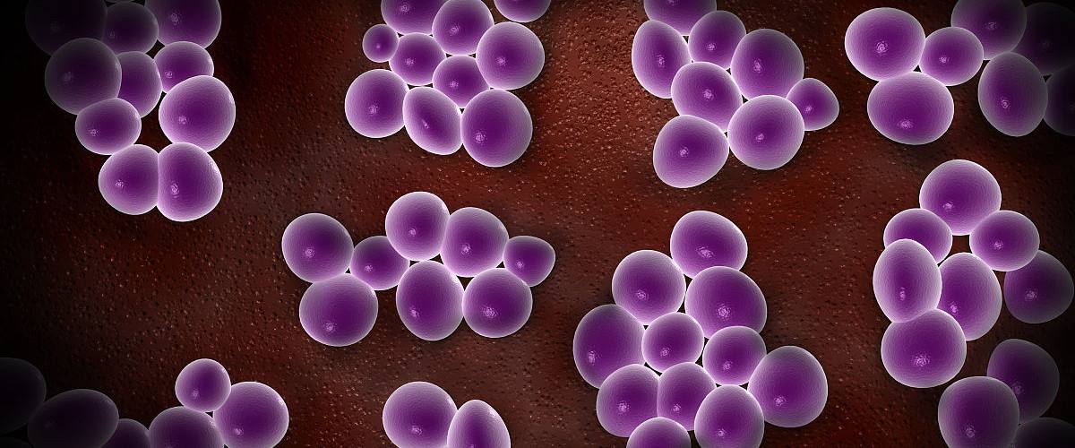 为什么鼻子两边沟很黑,为什么鼻子两边总是红红的