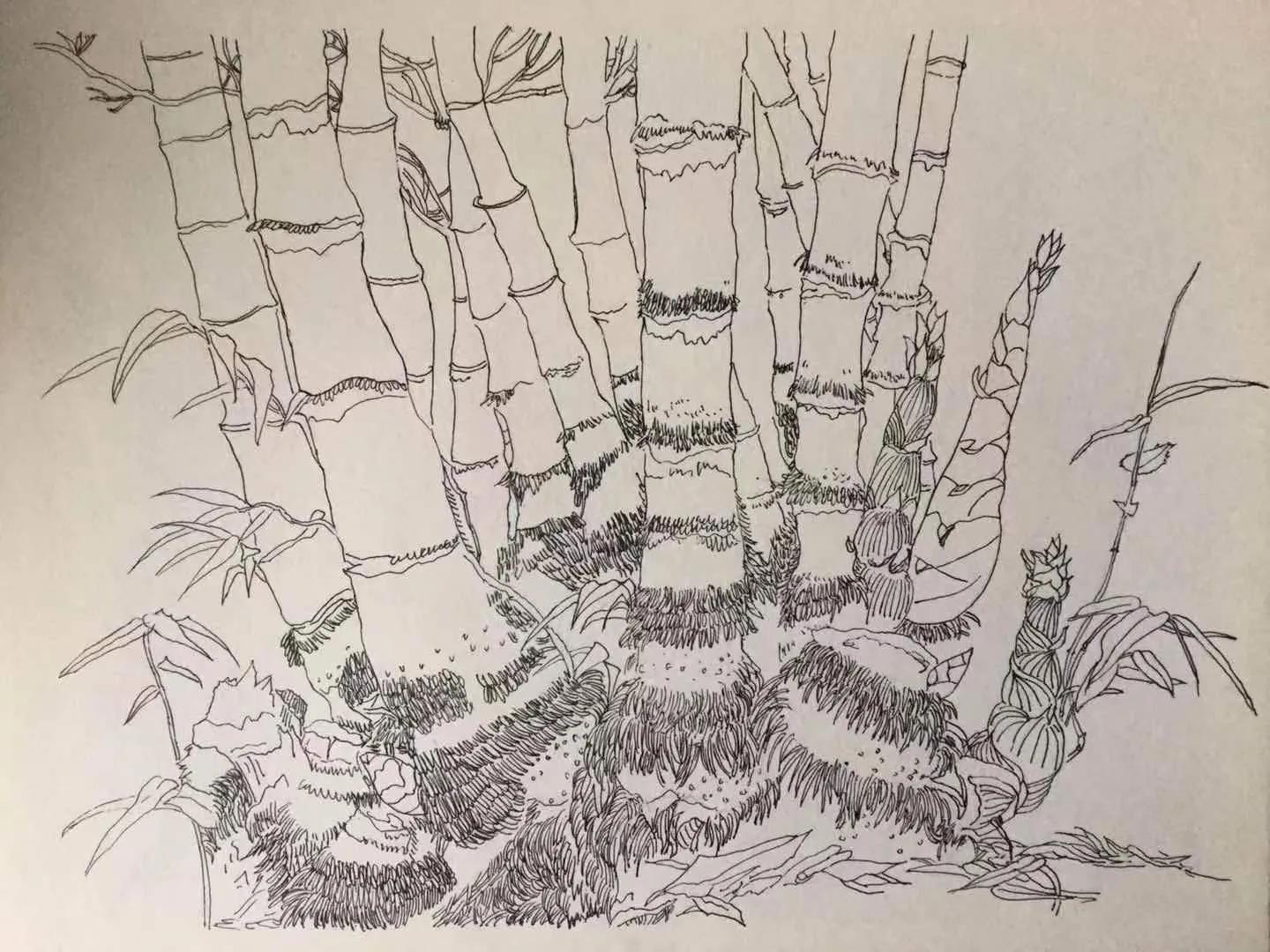 幸福原创画作品,幸福原创绘画作品