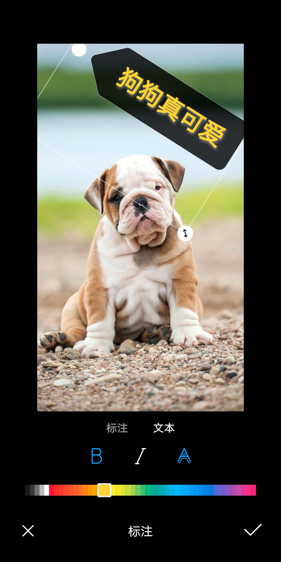 微信图片添加文字最简单的方法,怎么给微信上的图片添加文字