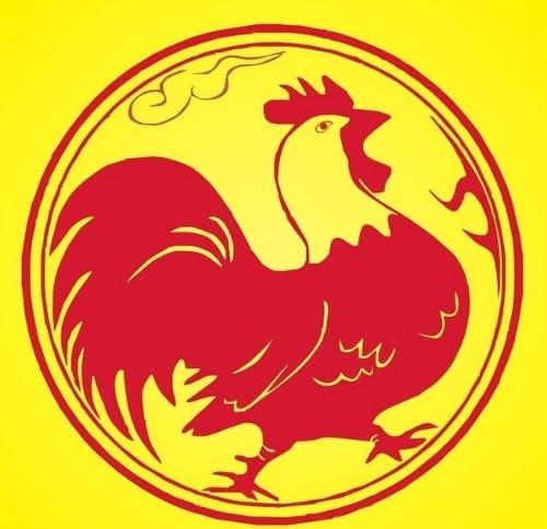 鸡的生殖系统的组成,鸡的生殖系统寄生虫